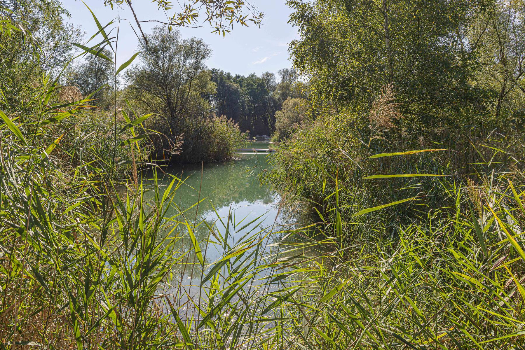 Jezero v areálu obklopené zelení